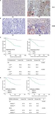 Interleukin-6 Trans-Signaling Pathway Promotes Immunosuppressive Myeloid-Derived Suppressor Cells via Suppression of Suppressor of Cytokine Signaling 3 in Breast Cancer